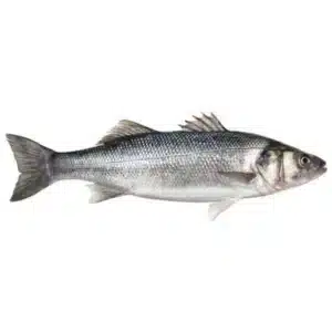LUBINA 2,0/3,0KG