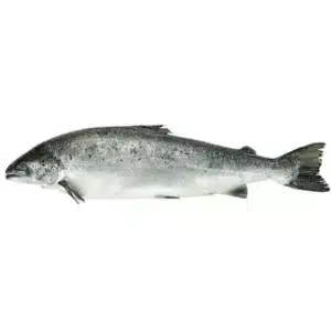 SALMON  ENTERO 6/7KG