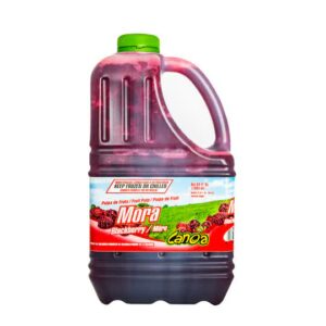 PULPA MORA (CANOA) GARRAFA 6/1,1KG
